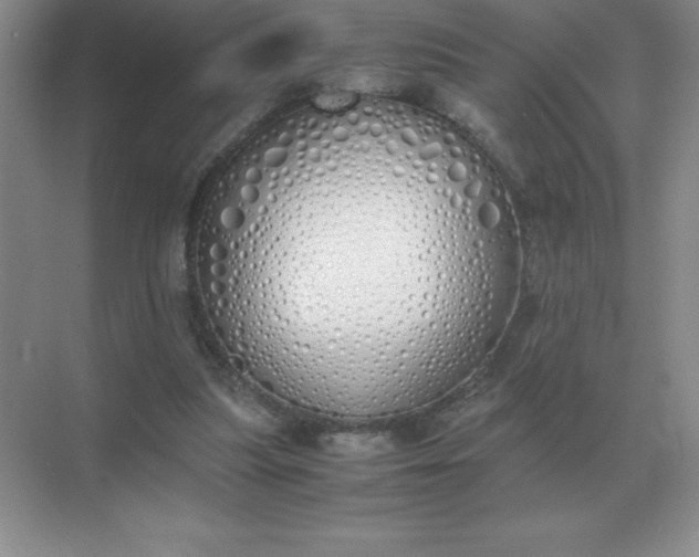 X0000071930251200607212141