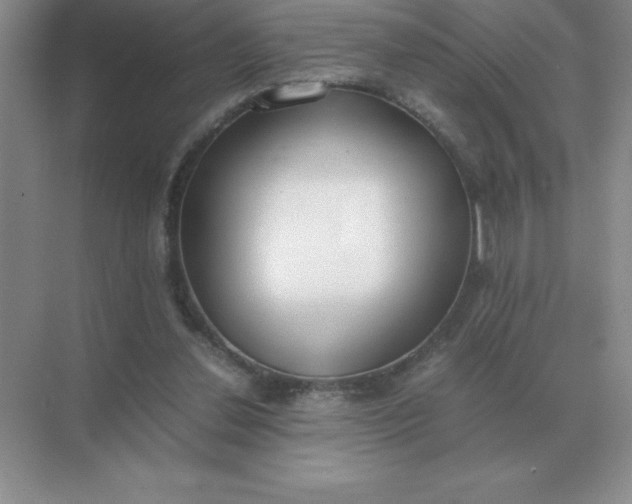X0000071930252200607212141