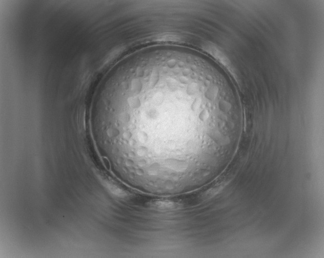 X0000071930253200607212141