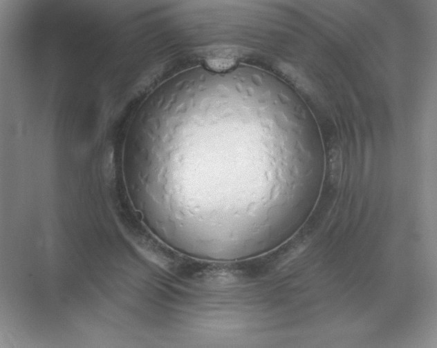 X0000071930254200607212141