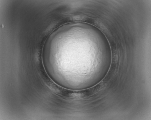 X0000071930255200607212141