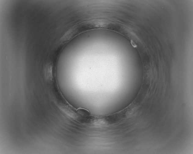 X0000071930262200607212141