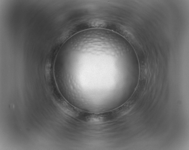 X0000071930263200607212141