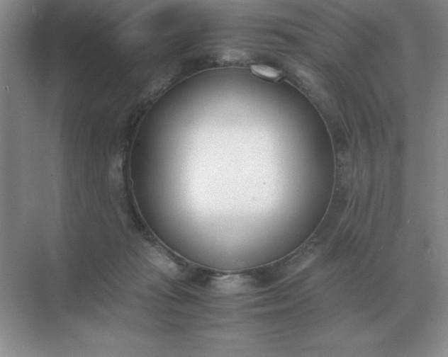 X0000071930269200607212142