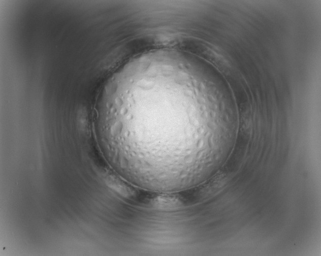 X0000071930270200607212142