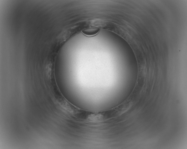 X0000071930271200607212142