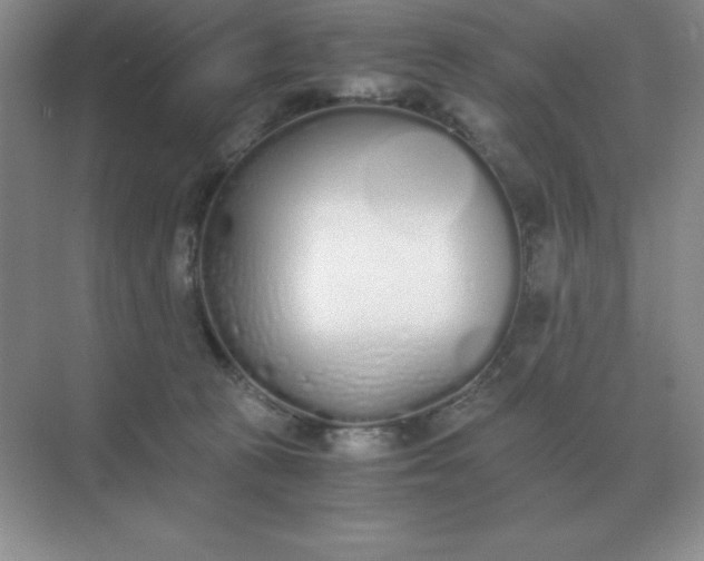 X0000071930273200607212142