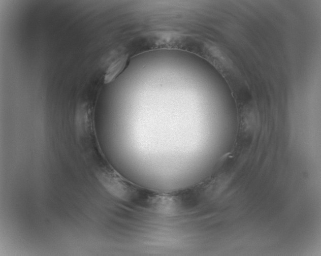 X0000071930276200607212142