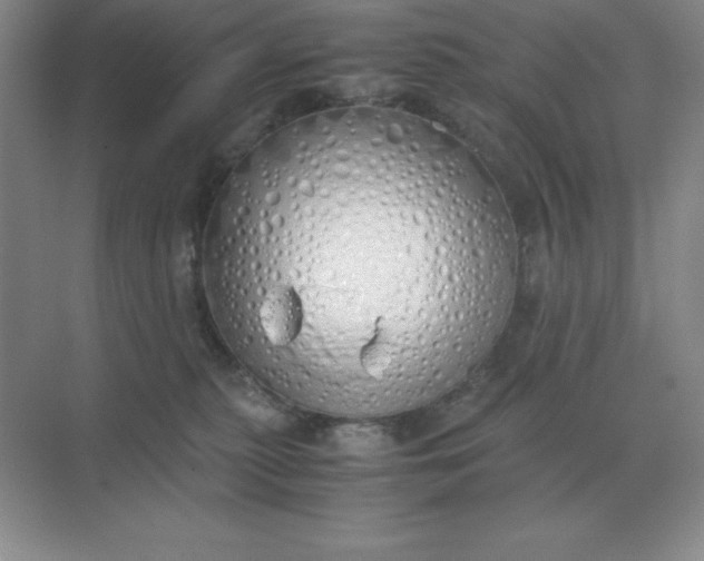 X0000071930279200607212142
