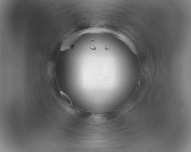 X0000071930280200607212142