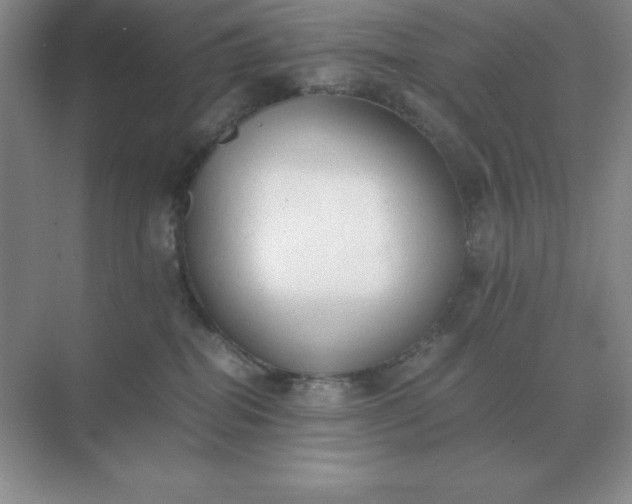 X0000071930282200607212142