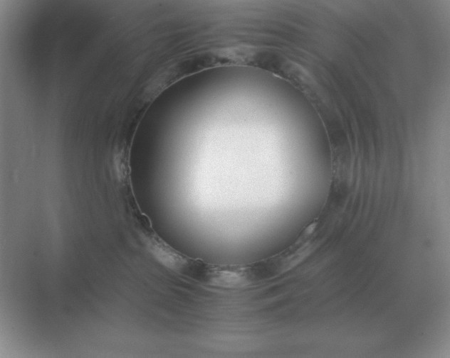 X0000071930285200607212142