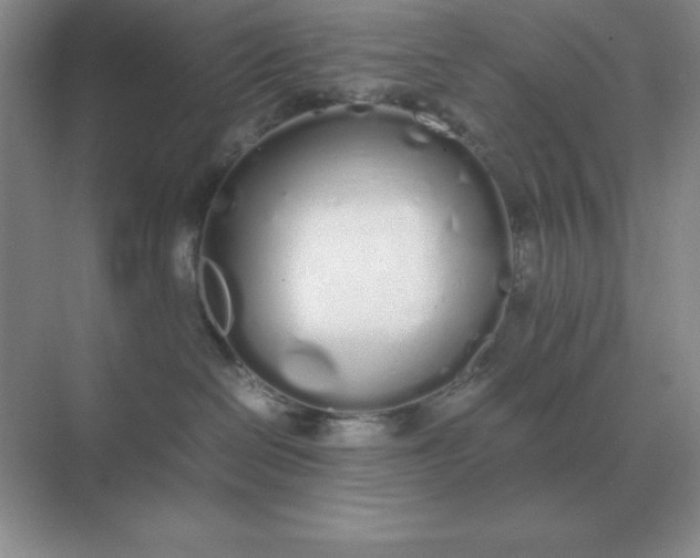 X0000071930286200607212142