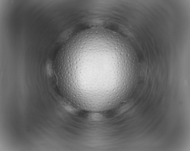 X0000071930287200607212142