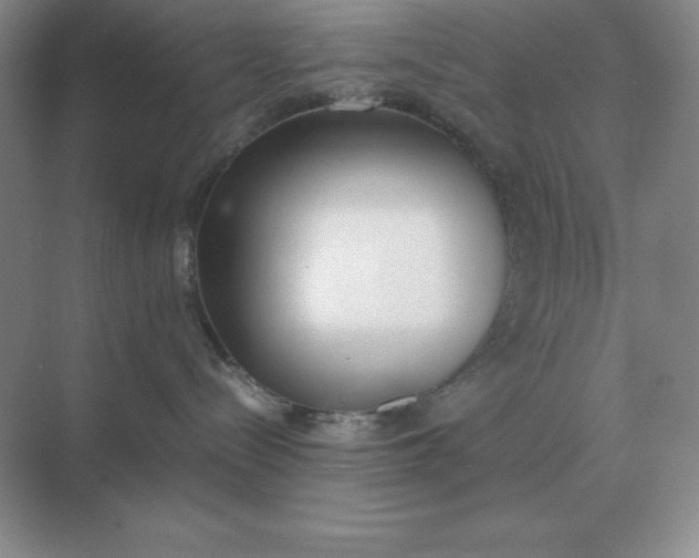 X0000071930288200607212142