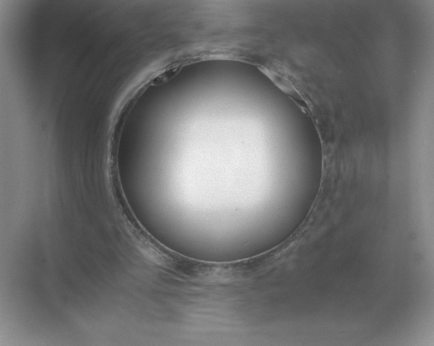 X0000071930293200607212141