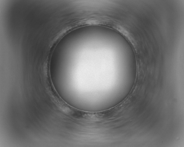 X0000071930297200607212141