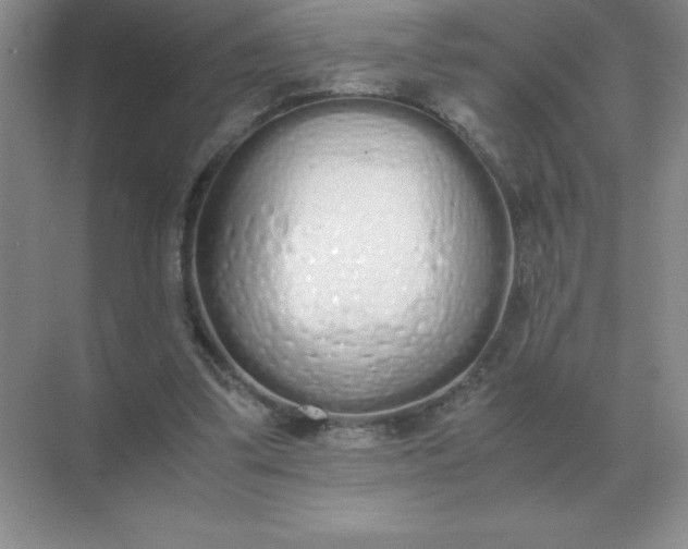 X0000071930299200607212141
