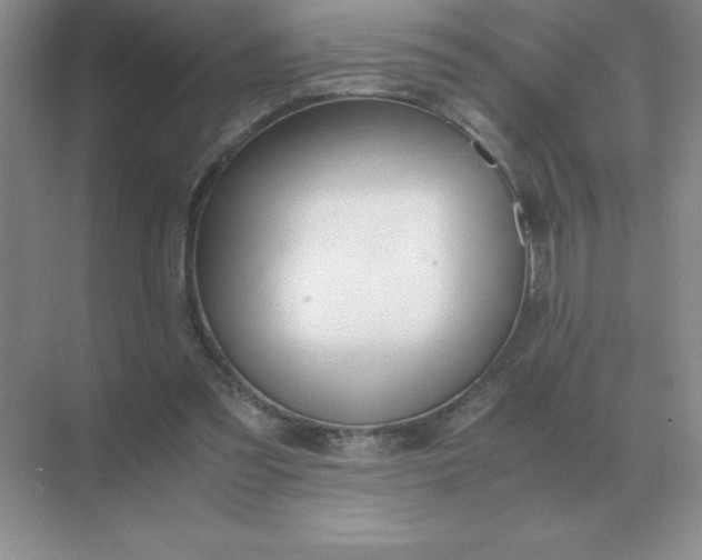 X0000071930301200607212141