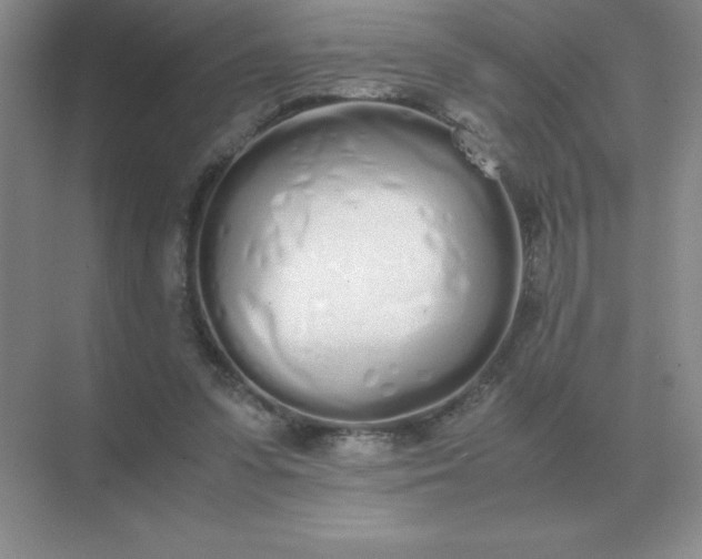 X0000071930303200607212141