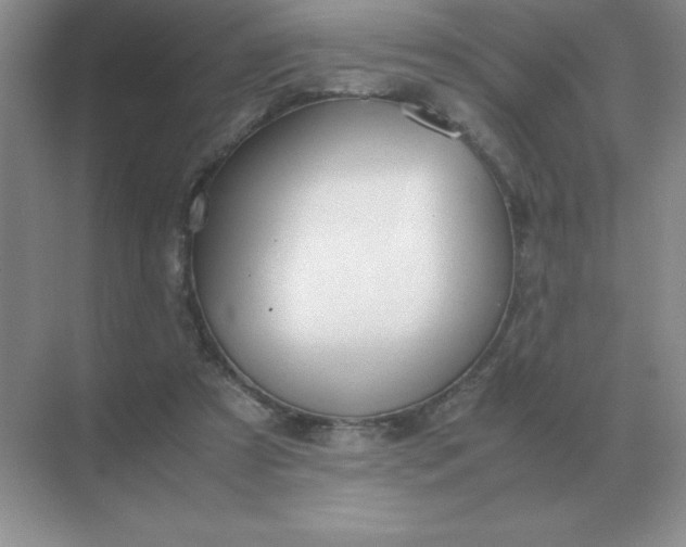 X0000071930305200607212141