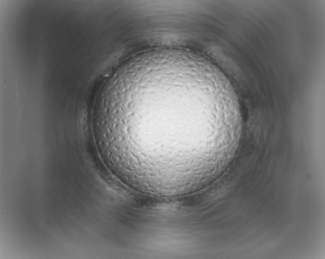 X0000071930306200607212141