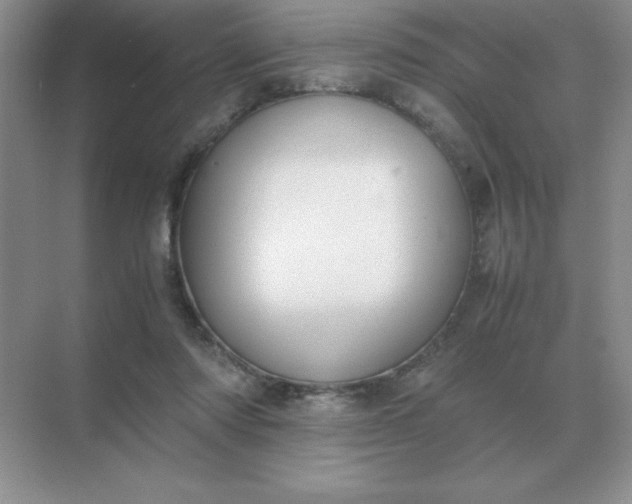 X0000071930310200607212141