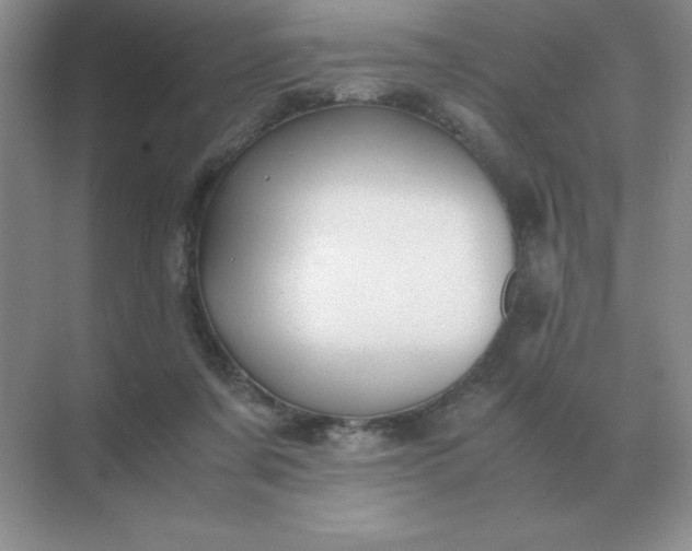 X0000071930311200607212141