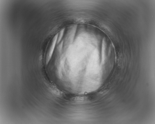 X0000071930314200607212141