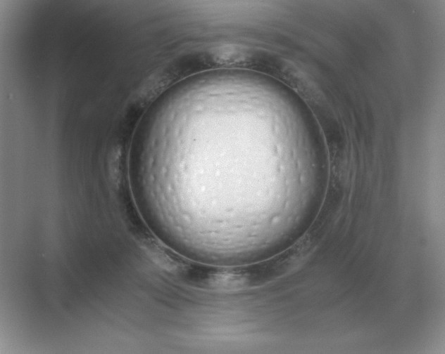 X0000071930319200607212141
