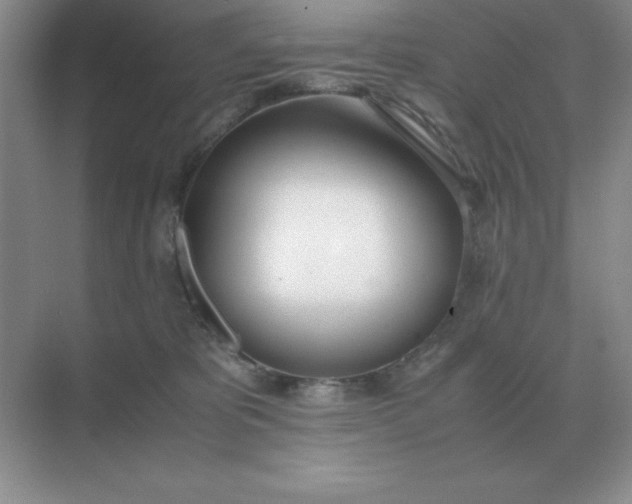 X0000071930325200607212140