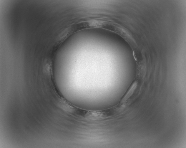 X0000071930329200607212140