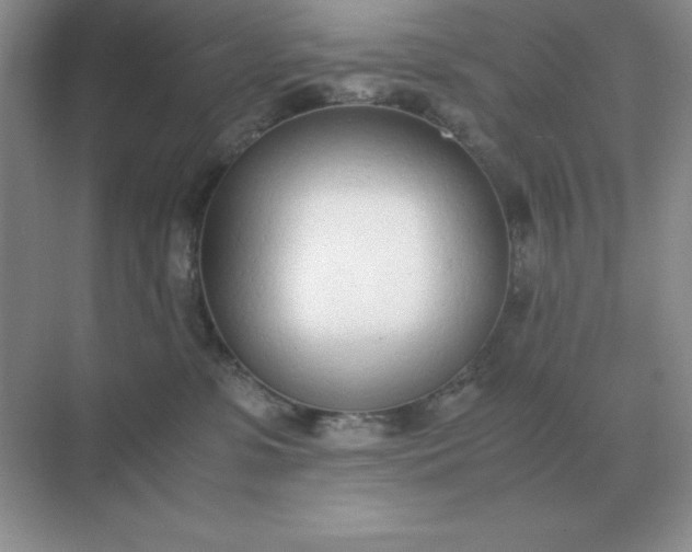 X0000071930331200607212140