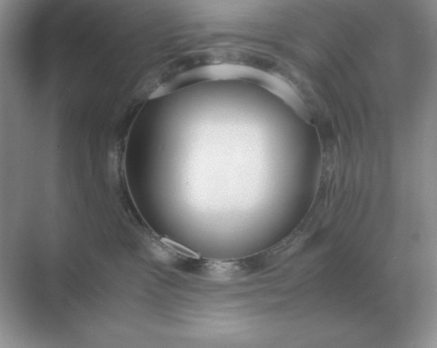 X0000071930333200607212140