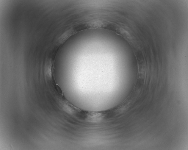 X0000071930334200607212140