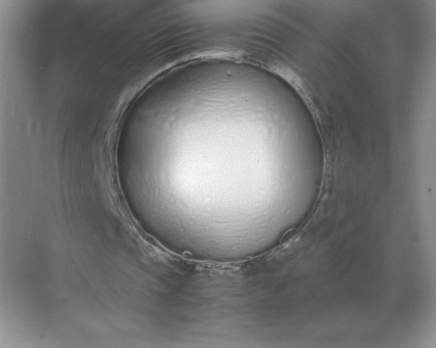 X0000071930337200607212139