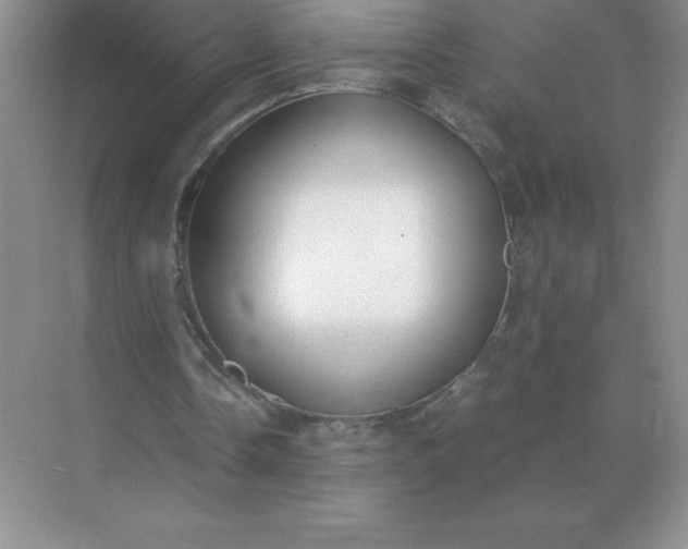 X0000071930338200607212139