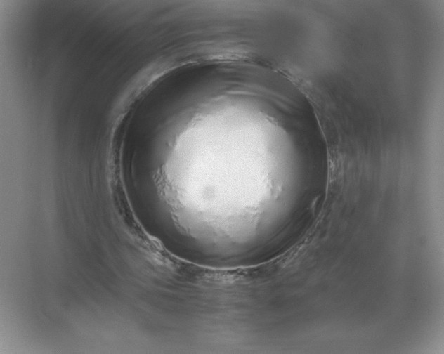 X0000071930339200607212139