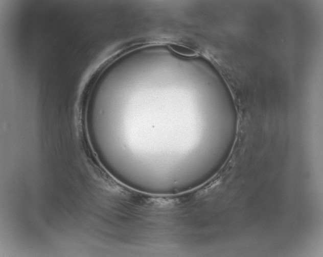 X0000071930343200607212140