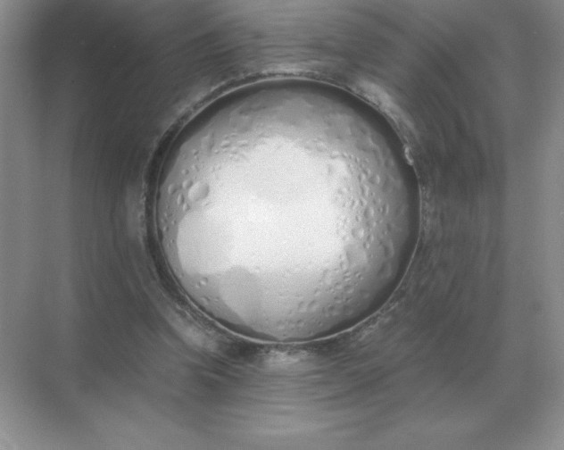 X0000071930346200607212140