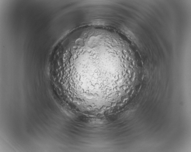 X0000071930347200607212140