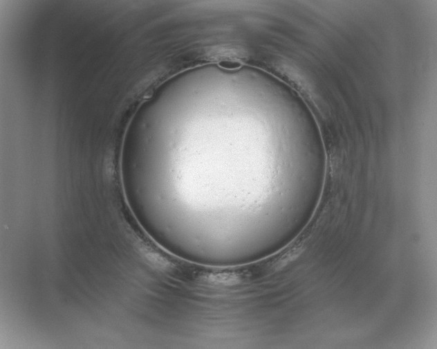 X0000071930353200607212140