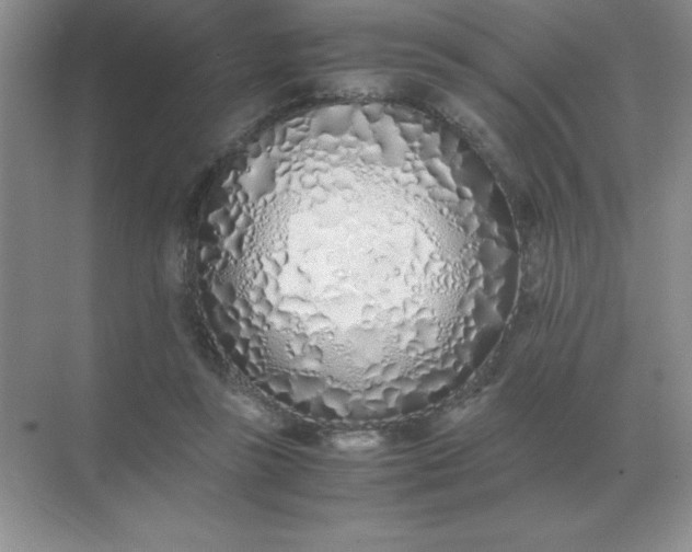 X0000071930355200607212140