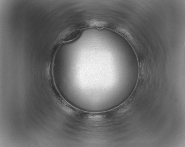 X0000071930357200607212140