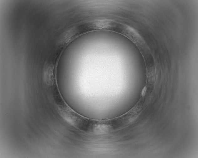 X0000071930360200607212140