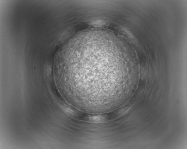 X0000071930365200607212140