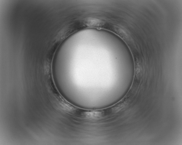X0000071930367200607212140