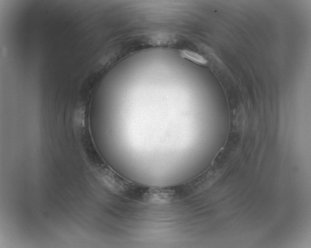 X0000071930368200607212140