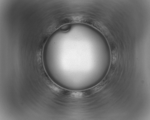 X0000071930369200607212140