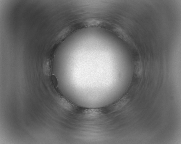 X0000071930378200607212140